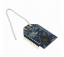 XBP09-DPWIT-156