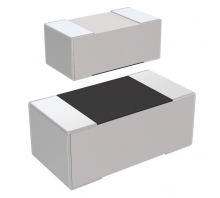 RC1005F1783CS