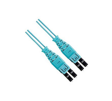 FZ2ERQ1Q1SNM003