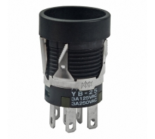 YB25MKW01