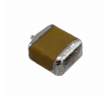 F951A476MBAAQ2