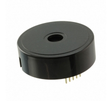 SBT5LMMPPC