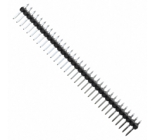 0010897681